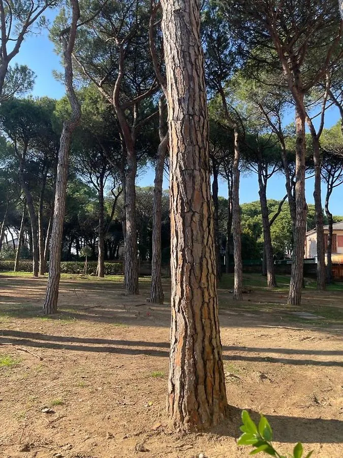 Residence Pineta- Solo Per Famiglie- Walterigato Apartments Lido di Jesolo